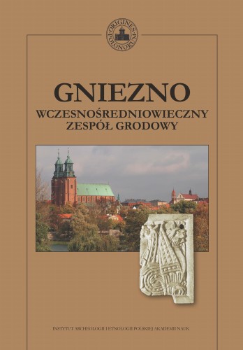 Gniezno. Wczesnośredniowieczny zespół grodowy T. 11